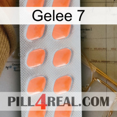 Jelly 7 26